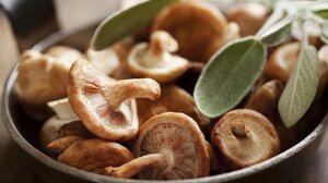 Μανιτάρια σιτάκε: Τα πραγματικά οφέλη τους για την υγεία