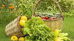 Γεωργία 4.0 και νέο μοντέλο αγροτικής παραγωγής