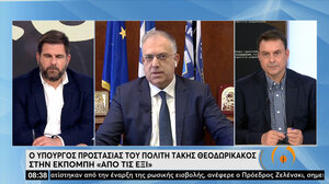 Τ. Θεοδωρικάκος: Έχουμε πάρει όλα τα μέτρα ασφαλείας για πιθανούς στόχους