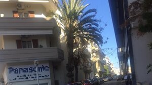 Ένας επικίνδυνος φοίνικας «περιμένει» φροντίδα