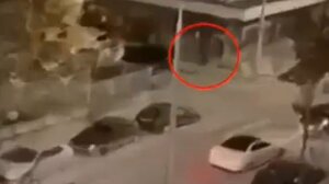 Δολοφονία Άλκη: «Δεν συμμετείχε στο επεισόδιο» – Η ανακοίνωση της οικογένειας του «Ντίνου»