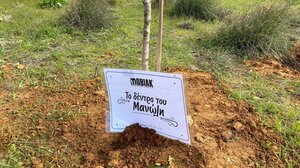 Φυτεύσεις σε κεντρικά σημεία των Χανίων 