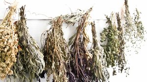 Τα βότανα που συμβάλλουν στην αντιμετώπιση του φουσκώματος