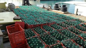 Κελάρι στο βυθό της θάλασσας για τα κρασιά της Ένωσης Ηρακλείου	