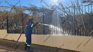 Κινδύνευσε το Δημοτικό Σχολείο Πλατανιά