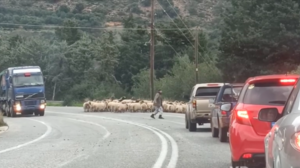 Όταν οδηγείς στον ΒΟΑΚ ποτέ δεν ξέρεις τι μπορεί να σου τύχει!