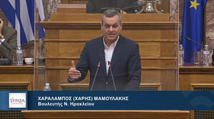 Στη Βουλή η επιστολή του Συνδέσμου Ελληνικής Κτηνοτροφίας από τον Χάρη Μαμουλάκη