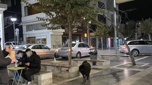 Ο πεζόδρομος μετατράπηκε σε πιάτσα ταξί!