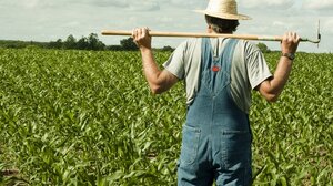 Βουλή: Τι προβλέπει η ρύθμιση για τους δασωθέντες αγρούς