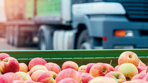 Πλήγμα σε εξαγωγείς φρούτων από τον πόλεμο στην Ουκρανία