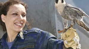 Ν. Χαρδαλιάς: Mόνο σεβασμός και ευγνωμοσύνη στις γυναίκες των Ενόπλων Δυνάμεών μας	