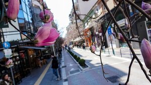 Κορωνοϊός: 16.558 νέα κρούσματα και 56 θάνατοι – Στους 341 οι διασωληνωμένοι