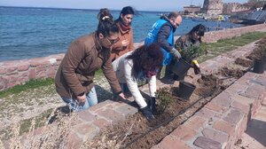 Φύτεψαν λουλούδια ενάντια στις γυναικοκτονίες