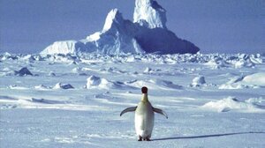 Κλιματική Αλλαγή: Ιστορικό ρεκόρ «καύσωνα» στην Ανταρκτική