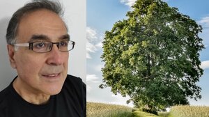 Απούσα η Ελλάδα από Διαγωνισμό για το Δέντρο της Χρονιάς