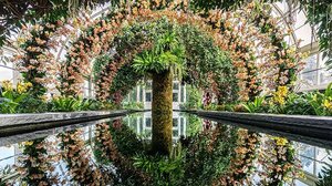 Υπερθέαμα χρωμάτων η έκθεση ορχιδέας στο Βοτανικό Κήπο της Νέας Υόρκης