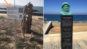 Το δέντρο ξεράθηκε, έμεινε η πινακίδα!