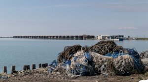 Για ανακύκλωση 10 τόνοι διχτάκια μυδοκαλλιέργειας στη Χαλάστρα!