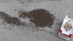 Έπεσε ολόκληρο μελίσσι σε κεντρικό δρόμο!