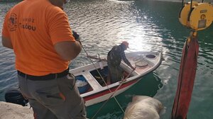 Ανέσυραν νεκρή αγελάδα στο λιμάνι της Γαύδου