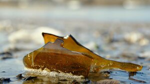 Άναψαν τα αίματα τη νύχτα: δύο επεισόδια ξυλοδαρμού σημειώθηκαν στην Κρήτη
