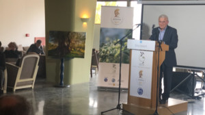 Μ.Θραψανιώτης: Άριστες οι προοπτικές για το ελαιόλαδο