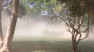 Εικόνα ... αμμοθύελλας στο Πάρκο Γεωργιάδη!