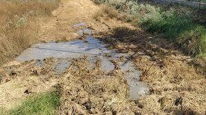 Χειροπέδες σε πατέρα και γιο που άδειαζαν βιομηχανικά απόβλητα σε αγωγούς