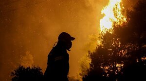 Έκθεση του WWF για τα οικονομικά της πρόληψης και της καταστολής των δασικών πυρκαγιών