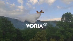 Χαλκιδική: Υπό μερικό έλεγχο η φωτιά σε δασική έκταση