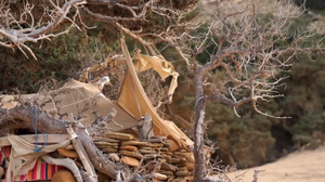 Η δήμαρχος Γαύδου προσπαθεί να ξηλώσει με τα χέρια της τις καλύβες των «survivors»