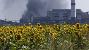 Γαλλία: Σε ποιες καλλιέργειες στρέφονται οι αγρότες 