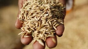 «Δεν υπάρχει κανένα θέμα επισιτιστικής επάρκειας στην Ελλάδα»