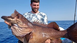 Aπίστευτη ψαριά στην Κίσαμο! Δείτε βίντεο