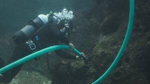 Δύτες εν δράσει στο Ενυδρείο Κρήτης!