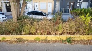 Με αυτό το πάρκο θα ασχοληθεί κανείς; 