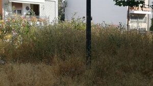 Πάρκα με προοπτική, που εγκαταλείφθηκαν!