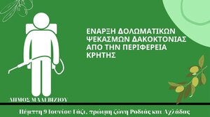 Ξεκινούν οι ψεκασμοί για την καταπολέμηση του δάκου στο Δήμο Μαλεβιζίου