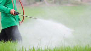 Η Κομισιόν ανανεώνει την άδεια χρήσης της γλυφοσάτης για δέκα χρόνια