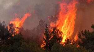 Πυρομανής πυροσβέστης πίσω από τρεις μεγάλες πυρκαγιές στη Γαλλία