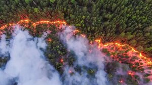 Δασικές πυρκαγιές: Ρεκόρ καμένων εκτάσεων φέτος στην Ευρώπη	