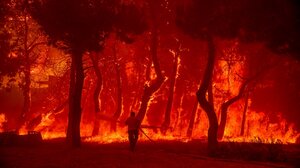 Δραματικές ώρες στη Λέσβο: Σπίτια στις φλόγες - 9 άτομα απεγκλώβισε το Λιμενικό