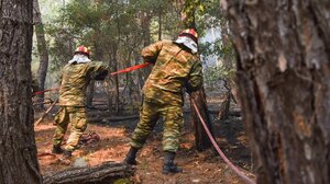 Φωτιά στη Δαδιά: Πέρασε το πυροφυλάκιο της Λευκίμμης 