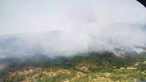 Φωτιά στον Έβρο: Το δύσκολο έργο της κατάσβεσης στο δάσος της Δαδιάς 