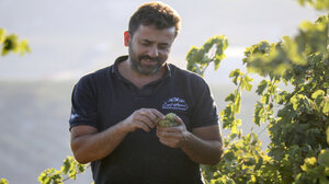 Από το Cabernet Sauvignon στον Ταχτά - Επιστροφή στα …..ριζίτικα!