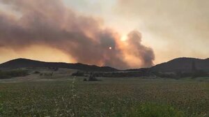 Φωτιά στον Έβρο: Δεύτερη εφιαλτική νύχτα στο Δάσος της Δασιάς 