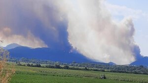 Ανεξέλεγκτη πυρκαγιά στο Σουφλί: Ενισχύθηκαν οι πυροσβεστικές δυνάμεις