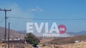  Υπό έλεγχο η φωτιά στην Κάρυστο