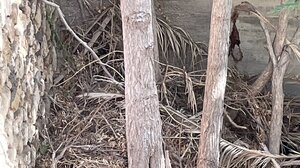 "Προσάναμμα" στο κέντρο του Ηρακλείου