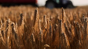 NASA: Η Ρωσία κατέχει το 22% της αγροτικής γης στην Ουκρανία 